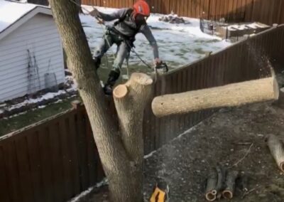 person strapped to a tree getting chopped