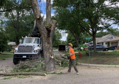 man using an electric saw on a tree