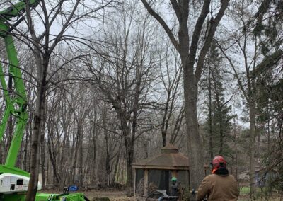 Image of a man standing next to a crane in a forest